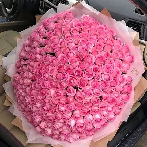 300 Pink Roses Bouquet, 300 Pink Roses